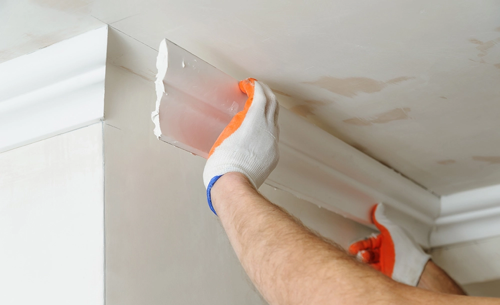 Crown Molding Installation Service In Orlando